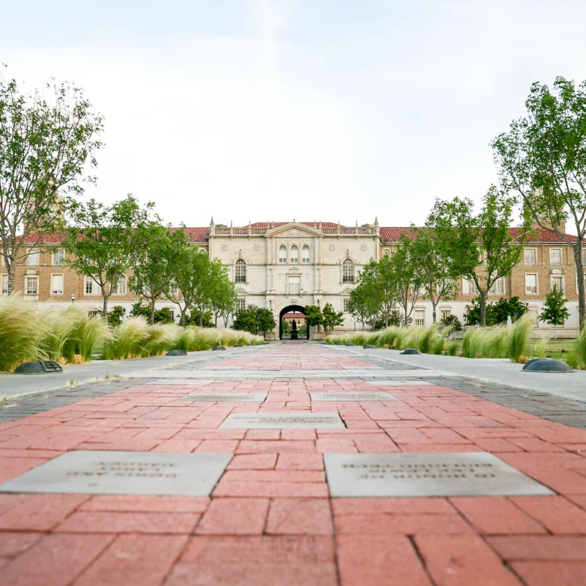 a brick walkway with trees and grass in front of a building