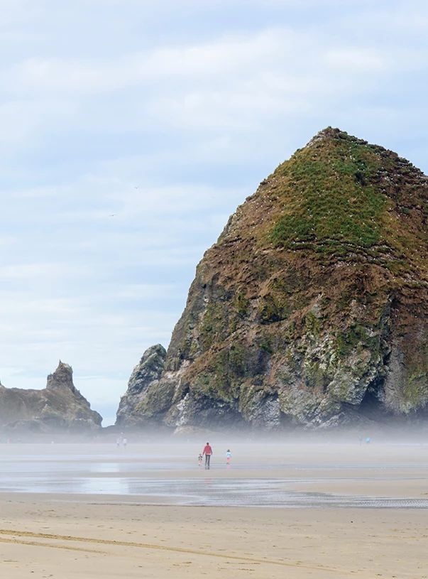 people walking on a beach
