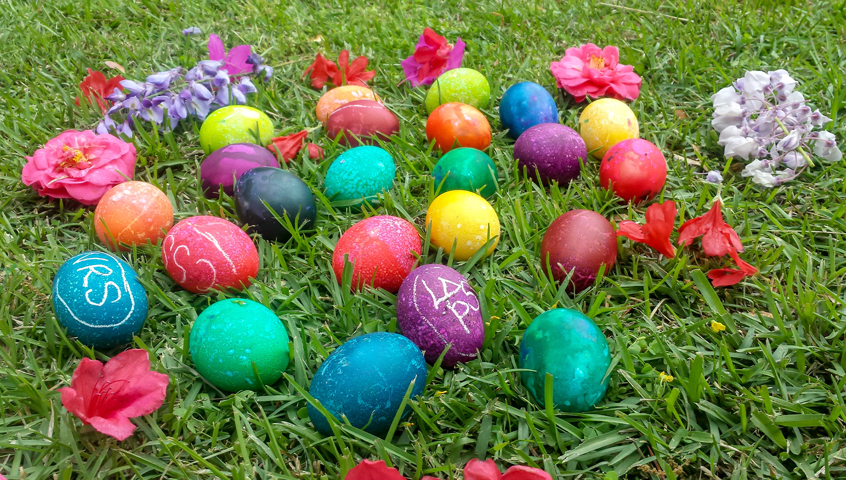 a group of colorful eggs in grass