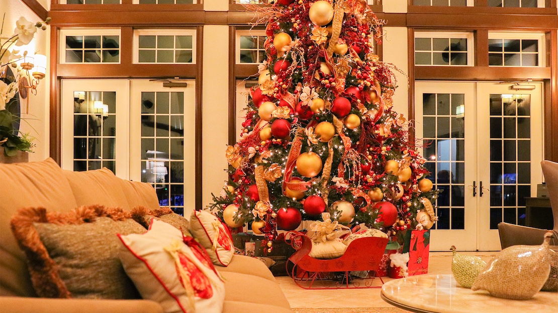 a christmas tree in a living room