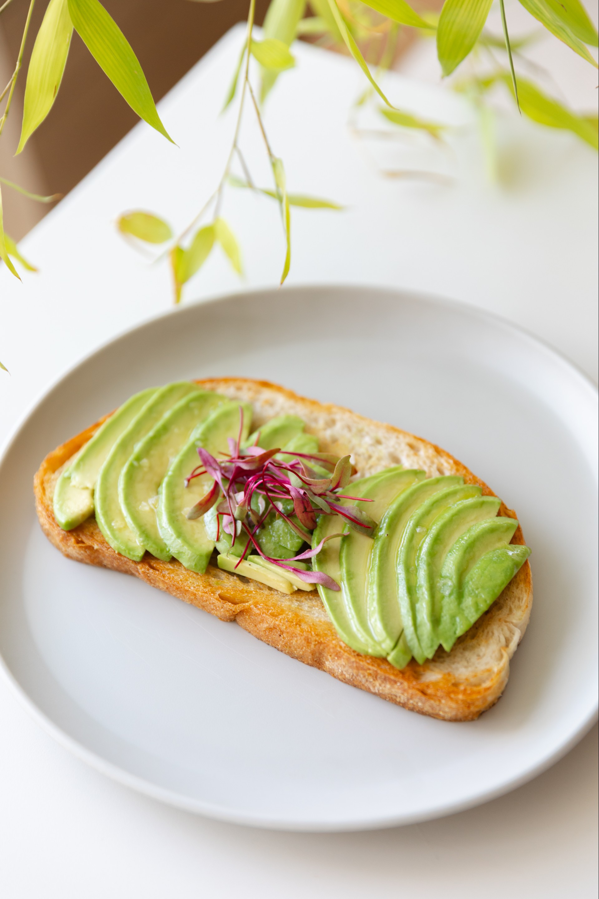 a slice of bread with avocado on it