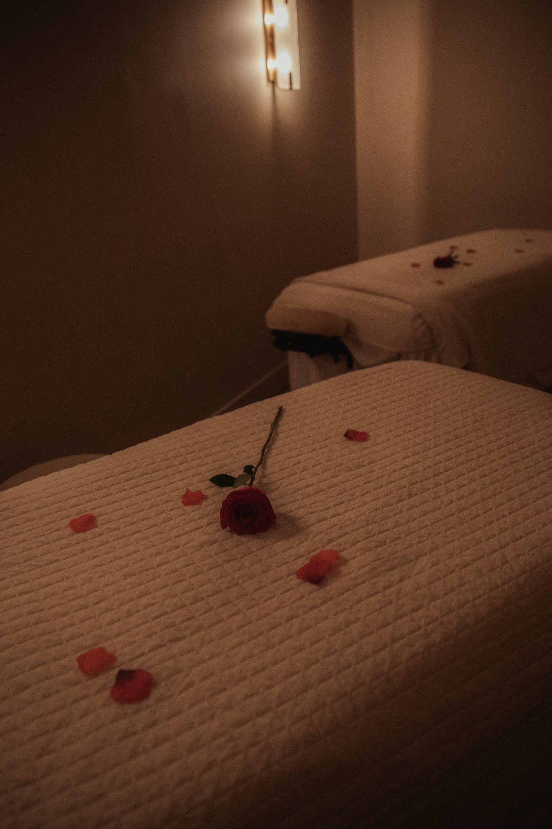 a rose on a bed
