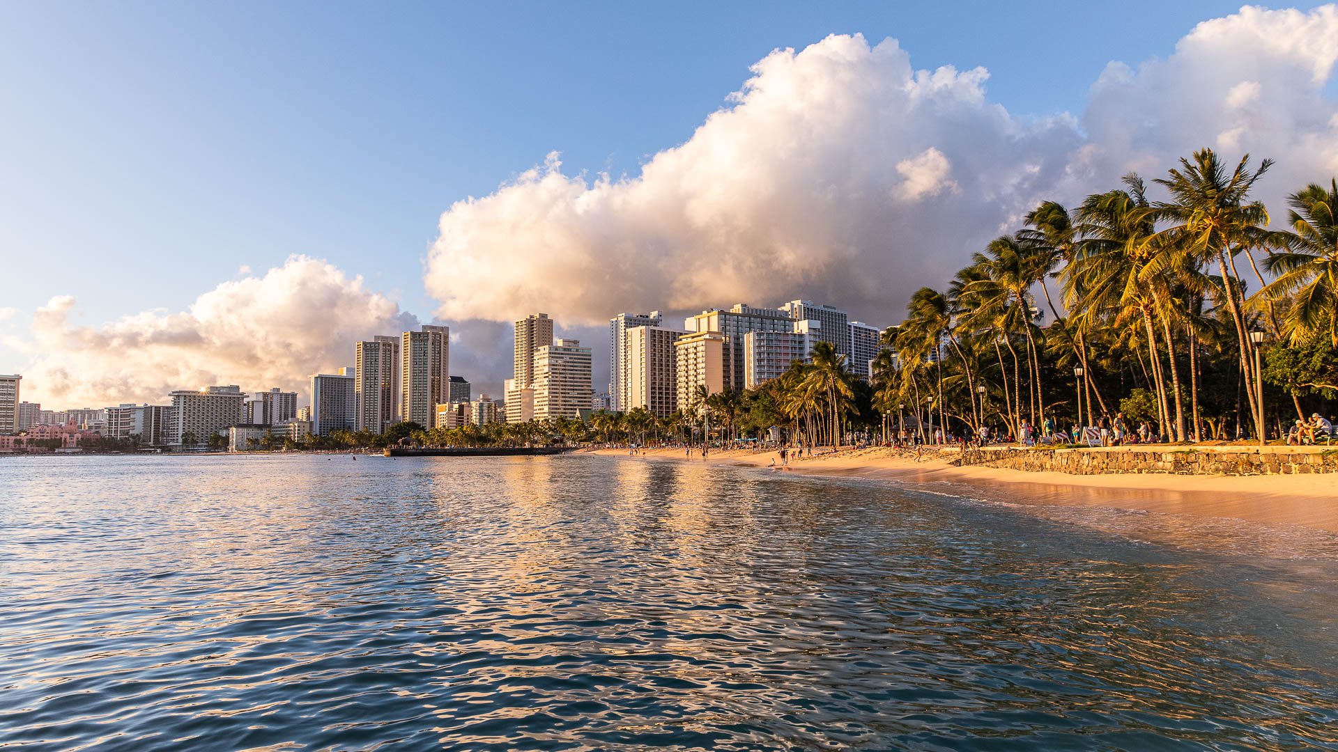 A beachfront scene with palm trees, a city skyline, and a body of water