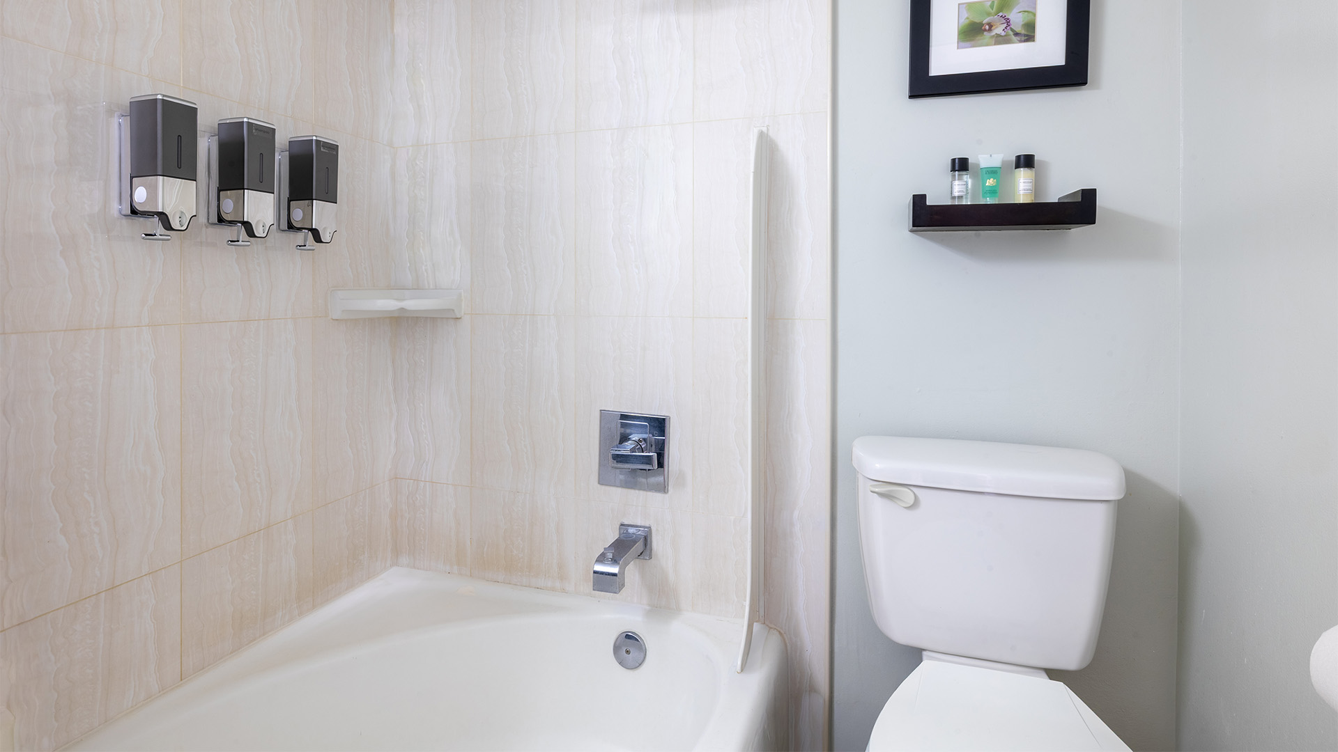 A clean bathroom with a bathtub, toilet, and shower shelf with toiletries.