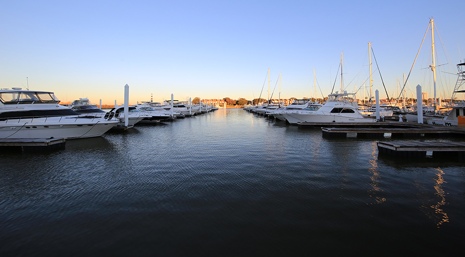 a group of boats in a harbor