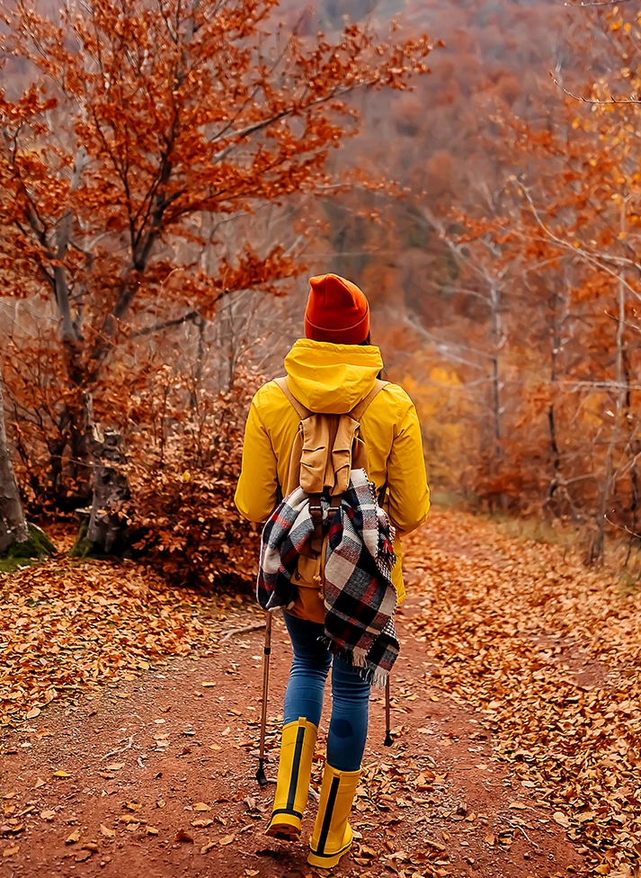 a person walking on a path with trees and leaves