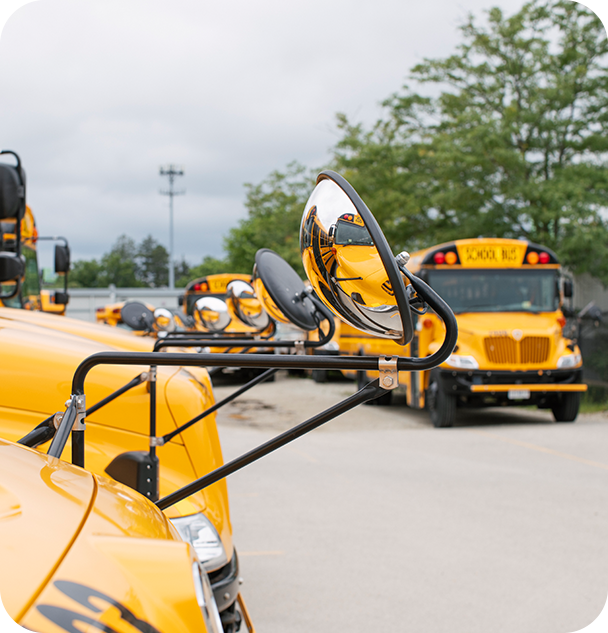 a group of yellow school buses