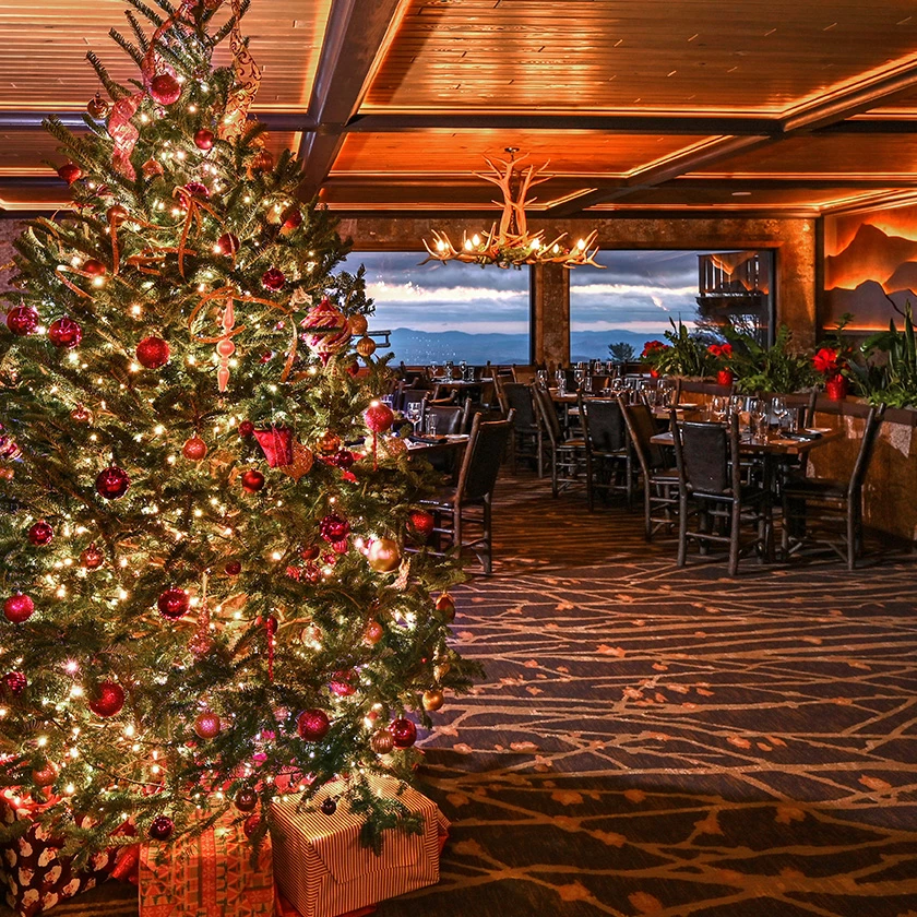 a christmas tree in a room