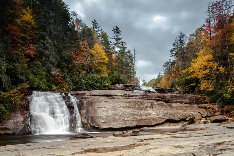 a waterfall in a forest
