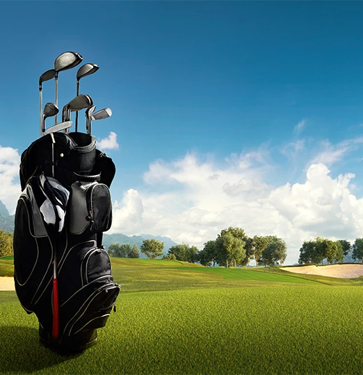 a golf bag with clubs on it