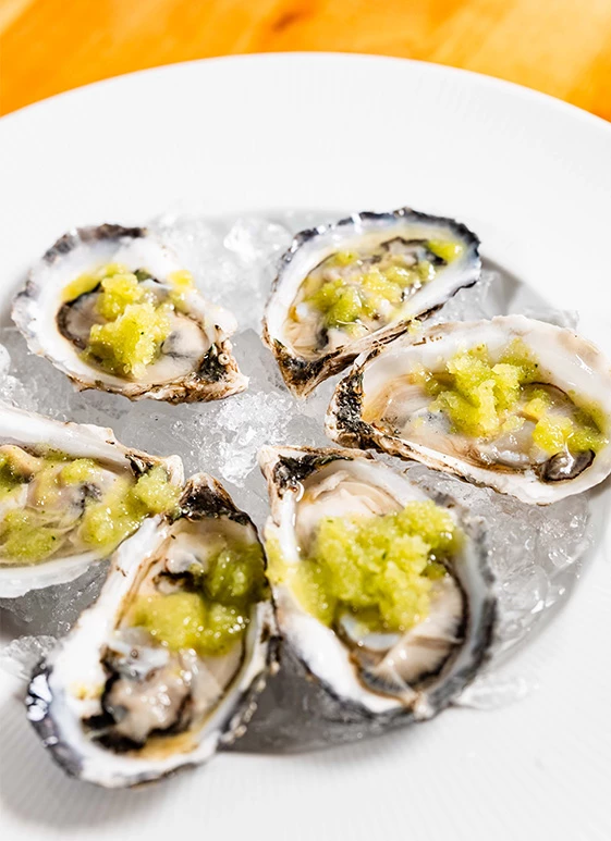 a plate of oysters with ice