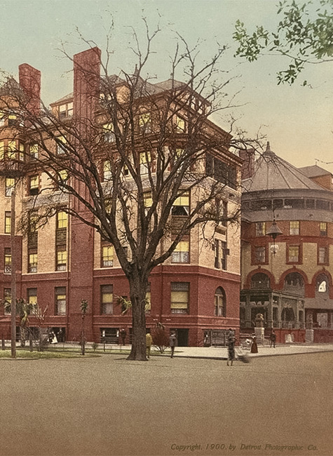 a tree in front of a building