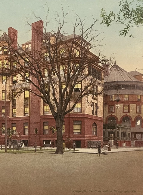 a tree in front of a building
