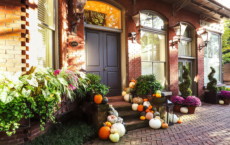 a front door of a house with pumpkins and plants