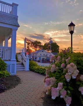 a walkway with flowers and a lamp post