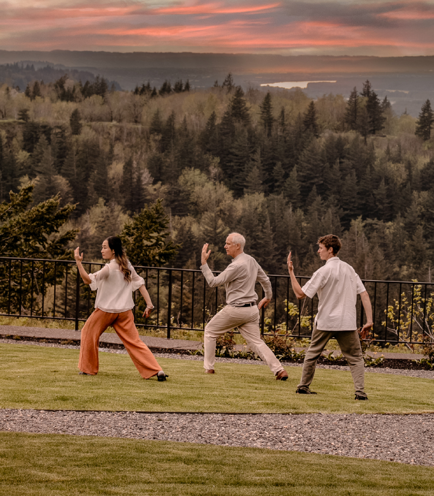 a group of people doing tai chi outside