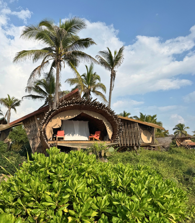 a house with a large round structure surrounded by palm trees