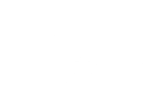 The Healing Order Logo