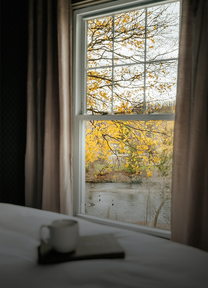 a window with a view of a river and trees