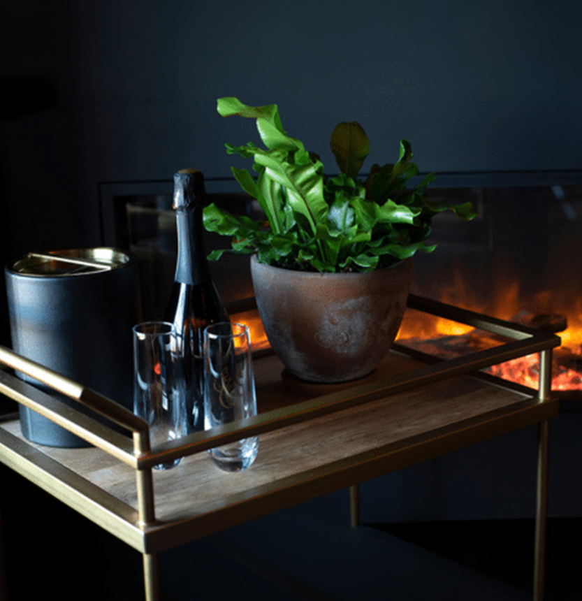 a plant and glasses on a table