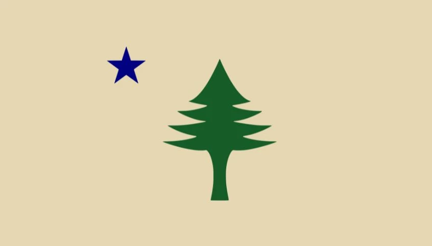 a green and blue tree and a blue star