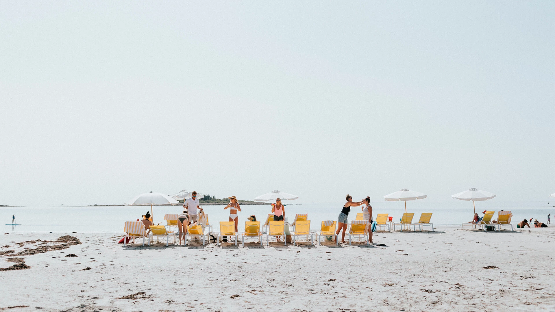 people on a beach