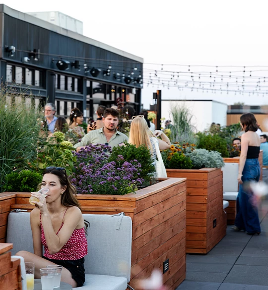 Waymore's Guest House & Casual Club — gallery preview 3