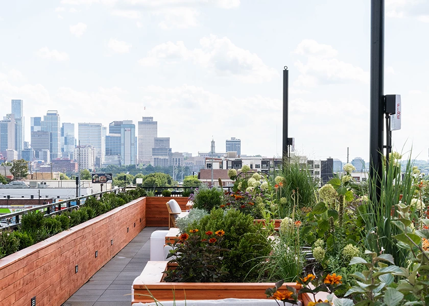 A rooftop garden with plants and benches overlooking the city skyline.