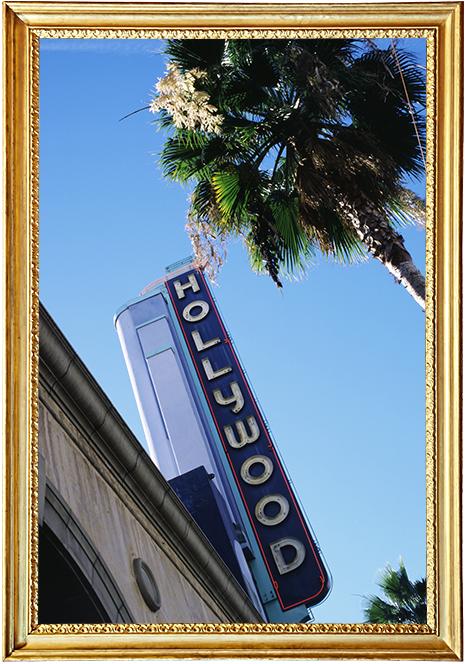 A photo of a hotel sign with a palm tree, framed in gold.