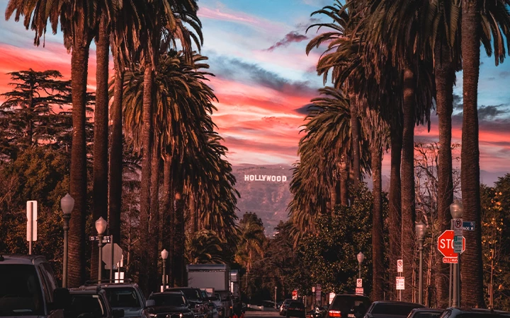 A street in Hollywood with palm trees and the Hollywood sign in the background at sunset
