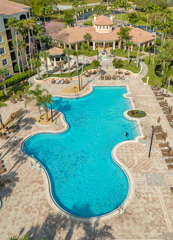 a swimming pool with palm trees and a fountain