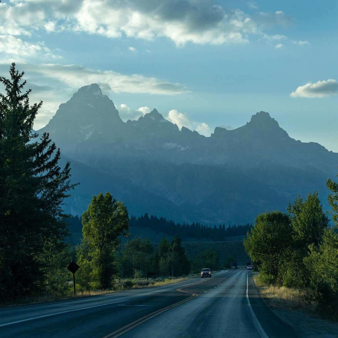 a road with trees and mountains in the background
