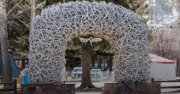 a large white arch made of antlers