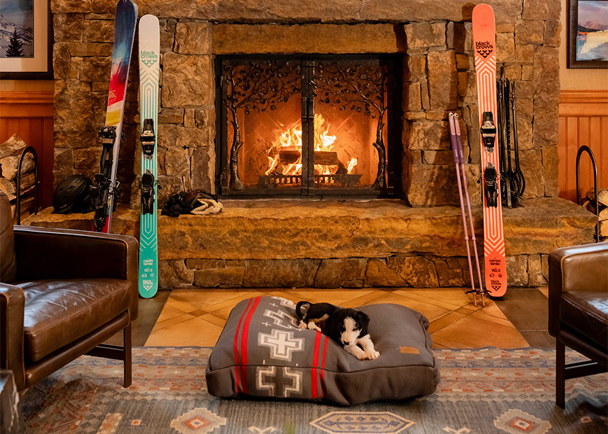 a dog lying on a pillow in front of a fireplace