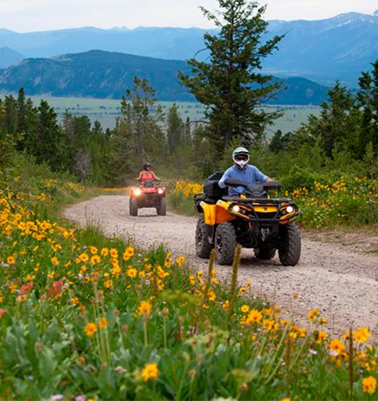 people riding atvs on a dirt road with flowers and mountains in the background