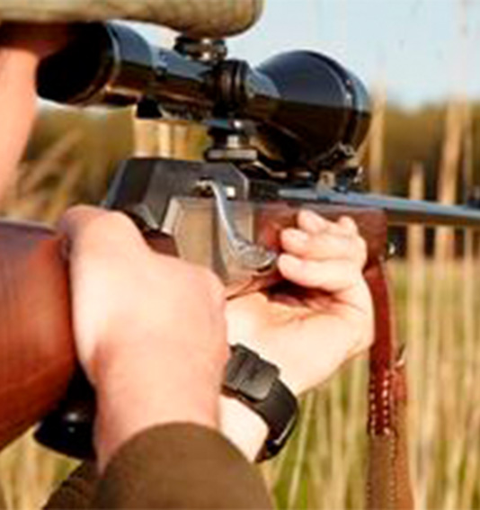 a person holding a rifle