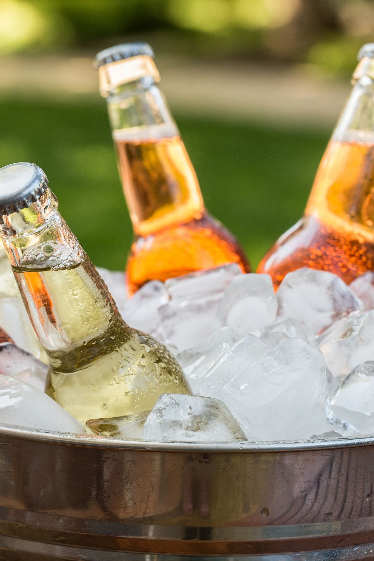 a group of beer bottles in ice