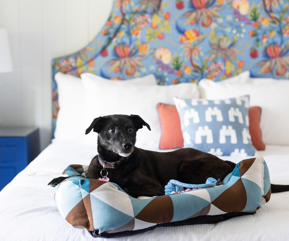 Dog Friendly Hotel Kennebunkport Yachtsman Hotel & Marina Club