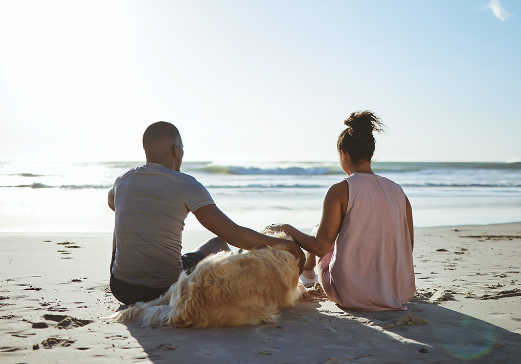 Dog Friendly Hotel Kennebunkport Yachtsman Hotel & Marina Club