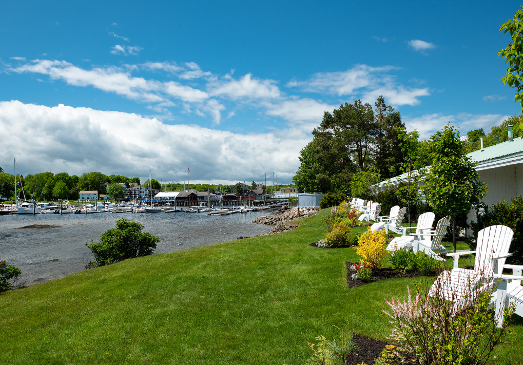 a lawn with chairs and a body of water