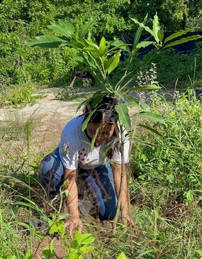 a woman kneeling in the grass with a plant growing out of it