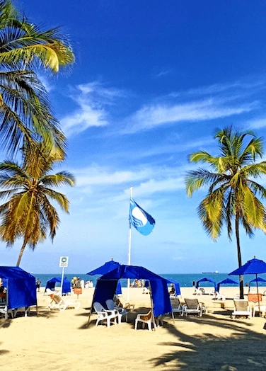 a beach with palm trees and blue umbrellas