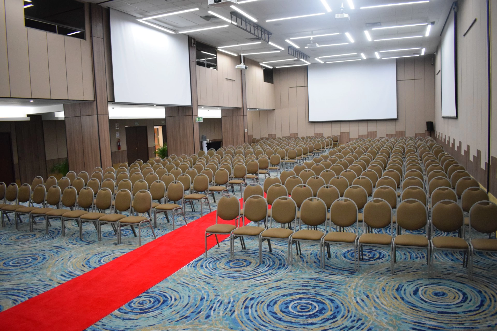 a large room with rows of chairs and a red carpet