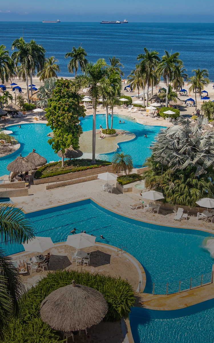 a pool with chairs and umbrellas by a beach with palm trees