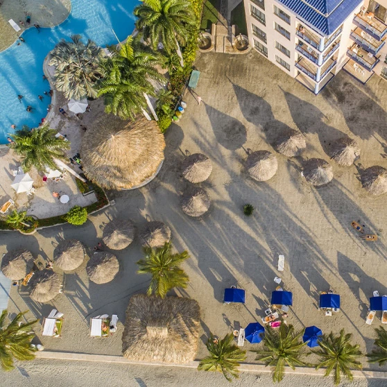 a sandy beach with chairs and palm trees