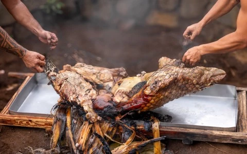 a group of hands holding a large piece of meat over a fire
