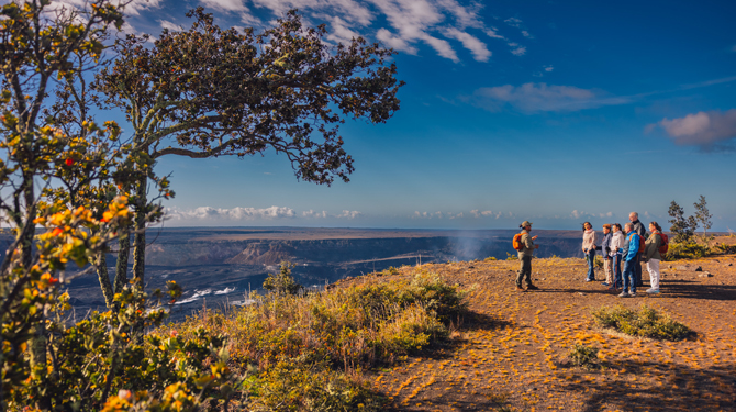 a man standing on a hill with a tree and a blue sky