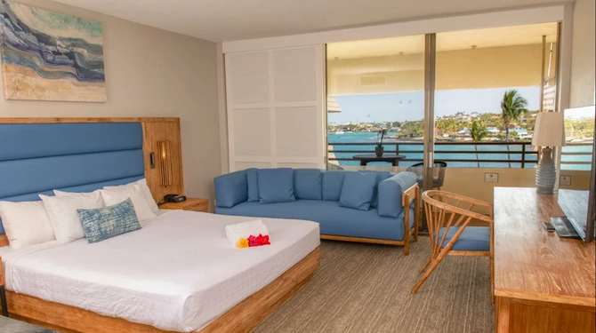 a room with a bed and a couch