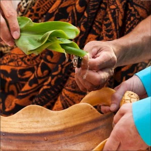 zoomed view of palm trees and water and wedding bands
