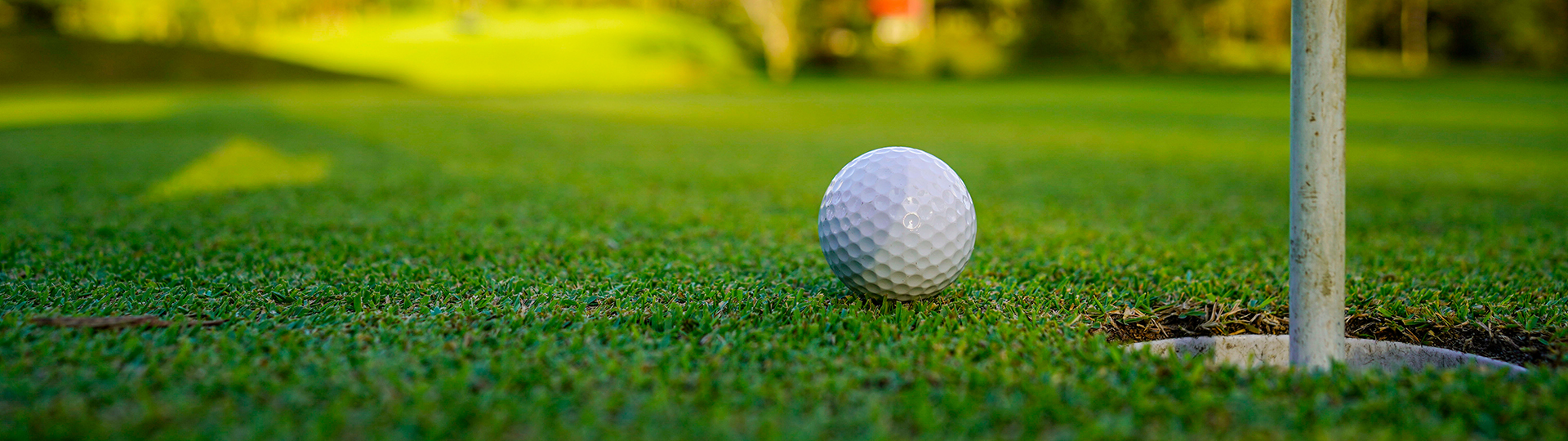 a golf ball on the grass